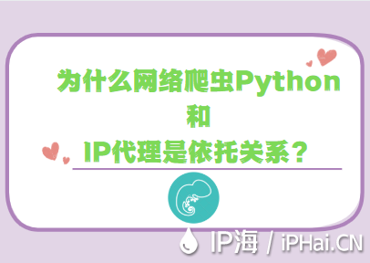 为什么网络爬虫Python和IP代理是依托关系？