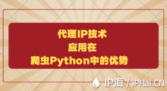 代理IP技术应用在爬虫Python中的优势