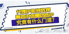 代理IP如何选择是静态IP还是动态IP究竟有什么门道？