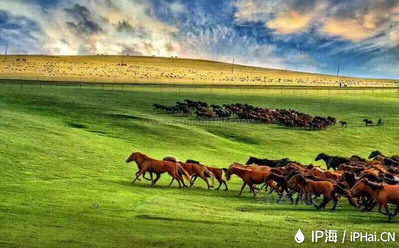 不得不提的大草原之地，内蒙古呼和浩特移动电信换IP线路新增啦！
