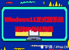 Windows11正式版系统更换IP地址教程