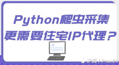 Python爬虫采集更需要住宅IP代理？