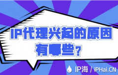 IP代理兴起的原因有哪些？