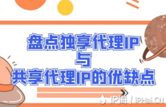 盘点独享代理IP与共享代理IP的优缺点