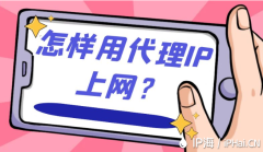 怎样用代理IP上网？