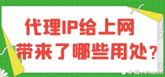 代理IP给上网带来了哪些用处？