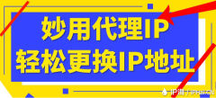 妙用代理IP轻松更换IP地址