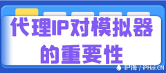 代理IP对模拟器的重要性