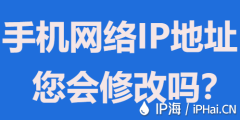 手机网络IP地址您会修改吗？