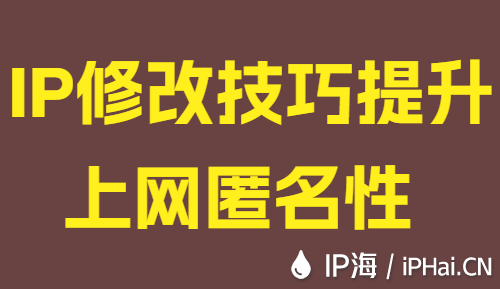 IP修改技巧提升上网匿名性