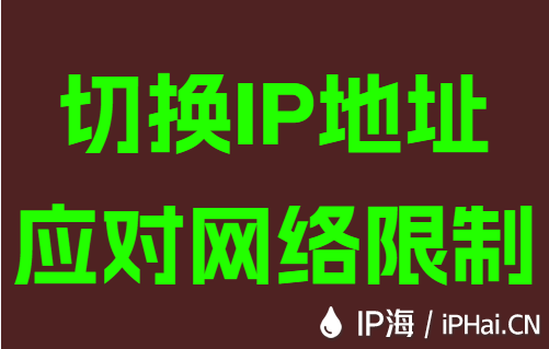 切换IP地址应对网络限制