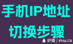 手机IP地址切换步骤