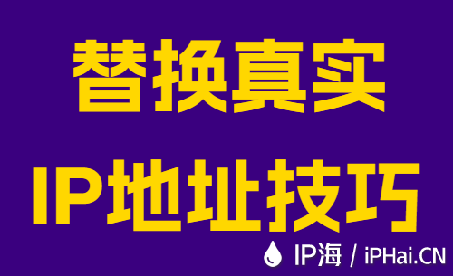 替换真实IP地址技巧
