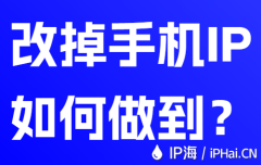 改掉手机IP如何做到?