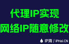 代理IP实现网络IP随意修改