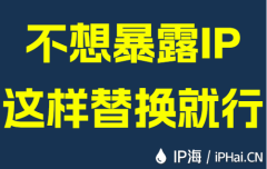 不想暴露IP这样替换就行