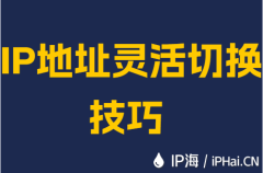 IP地址灵活切换技巧