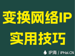 变换网络IP实用技巧