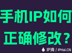 手机IP如何正确修改?