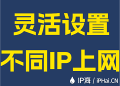 灵活设置不同IP上网