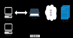 独享ip代理的需求正在不断增涨