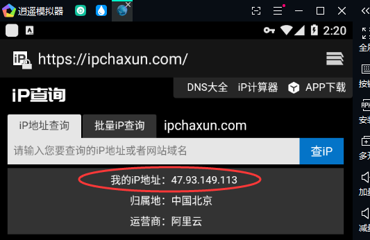 逍遥模拟器换IP软件